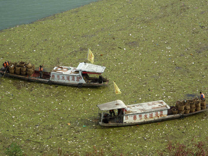 Workers clean up floating garbage on the Yangtze River near the Three Gorges reservoir in November 2009.