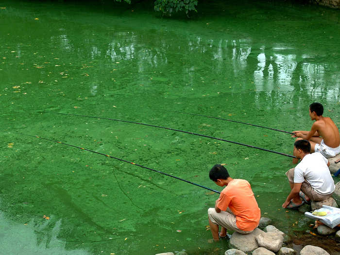 Children fish in a polluted river covered with algae in Hefei, east China