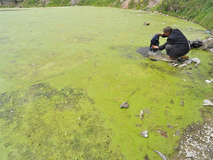 A resident washes clothes in a polluted pond in Xiangfan, Hubei province, March 21, 2010.