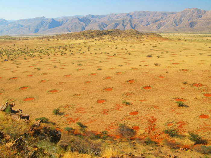 Fairy circles in Namibia