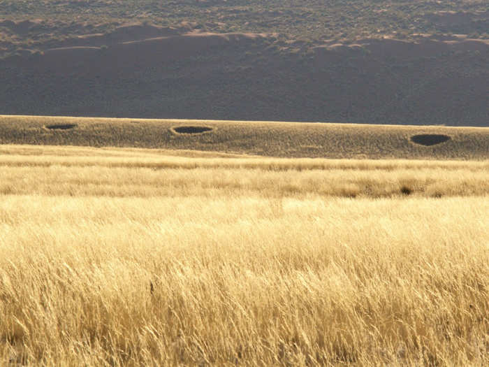 Older fairy circles are larger in size.