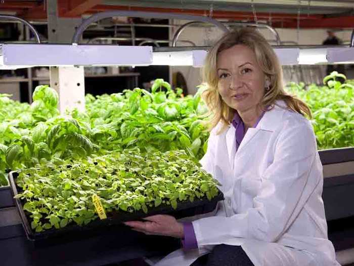 Hardej projects her company will be producing 300,000 pounds of leafy greens by the end of the year, and more than triple that production by the end of 2014.