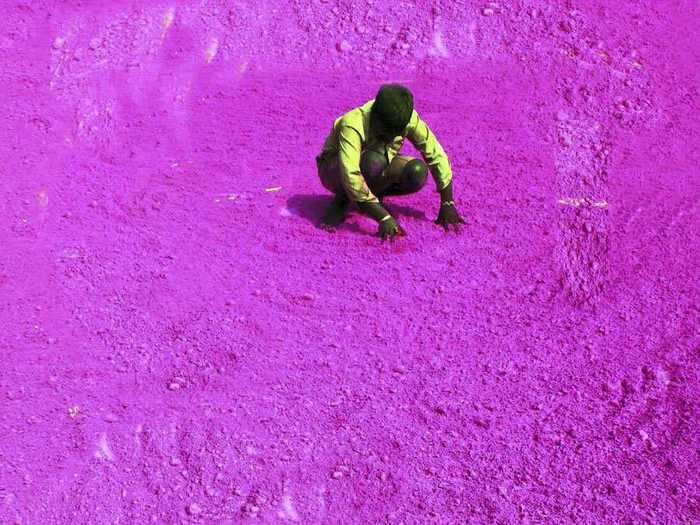 A worker dries coloured powder for Holi in Gurgaon, India.