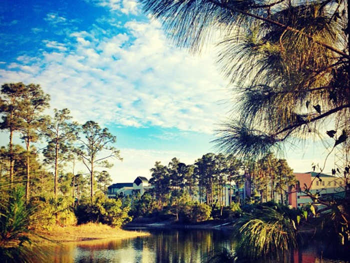 Campus from the lake