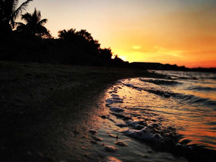 The view from the beach on campus at sunset