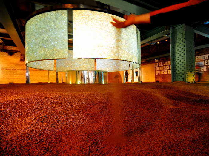 Big room full of one of the four ingredients of the Guinness beer — Barley!