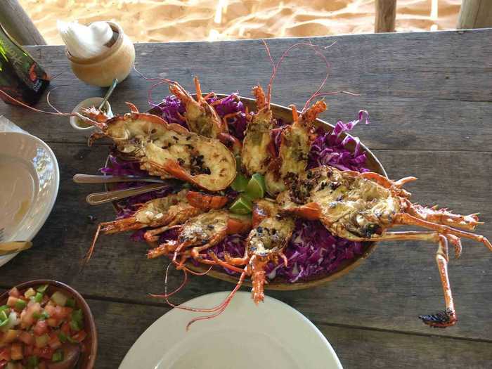 At lunch time, Zé Mar will bring you fresh seafood. He caught this lobster the very same day it wound up on our table.