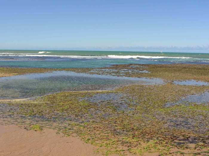 Low tide is a good time to go for a walk on the beach. The next beach over from Imbassaí is called Praia do Forte, and it is known for its beautiful natural pools.