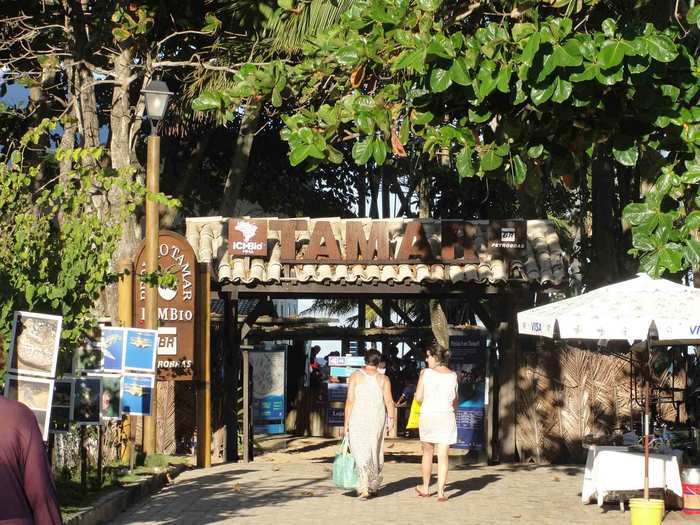 My favorite place to visit in Praia do Forte is the wildlife turtle reserve known as Projeto Tamar. This non-profit seeks to protect turtles from extinction and raises money to do so by opening its doors to the public.