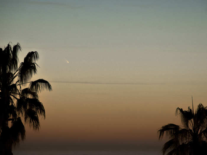 Thad Szabo captured this incredible image of the comet in the evening sky over Venice, California on March 11.