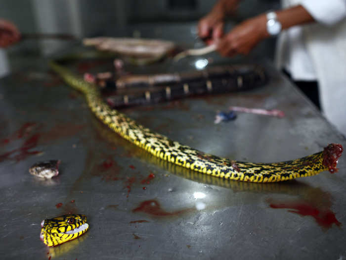 Here, residents cut up a snake for its meat. Snake soup is said to be good for the immune system.