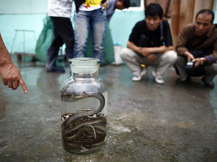 Here, a few villagers look closely at one of the jars full of snakes.