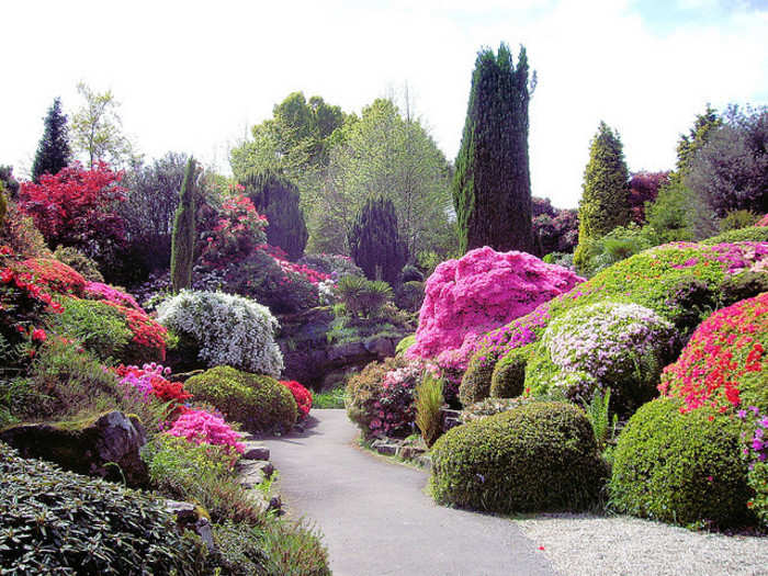 Bushes, trees and bulbs