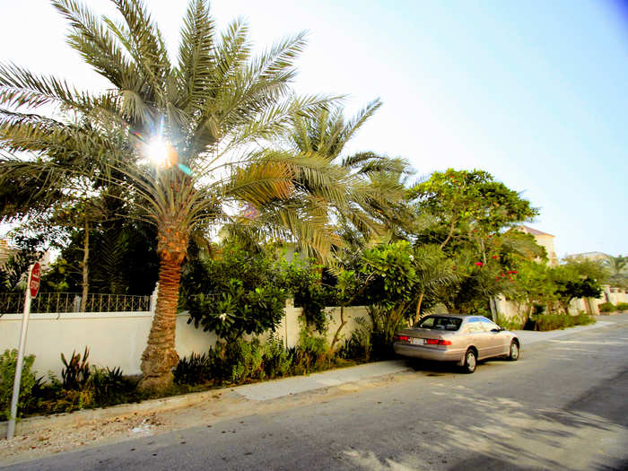 Bahrainis live here as well. Burqa-clad women can be seen darting about, sweeping their porches. The palms are filled with singing birds.