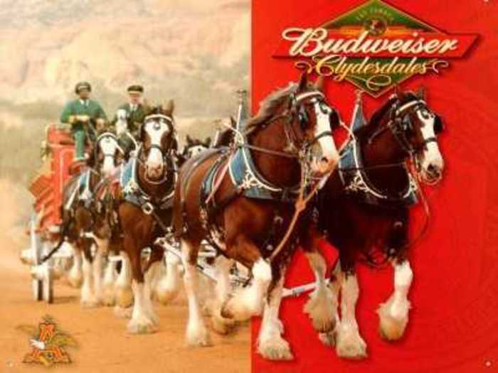 35 percent of respondents want to see more of the Budweiser Clydesdales.