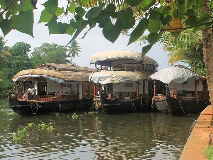 They paid 7,000 Rupees ($125) per night for a two-bedroom boat with all food and transportation costs (including a personal chef, meals, and a captain) included.