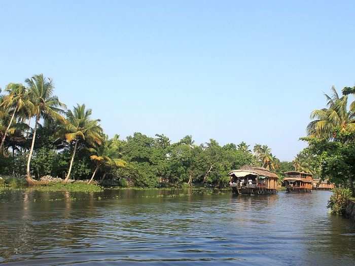 Known as the Kerala backwaters, the rivers and lakes are a deep blue color and surrounded by greenery on all sides.