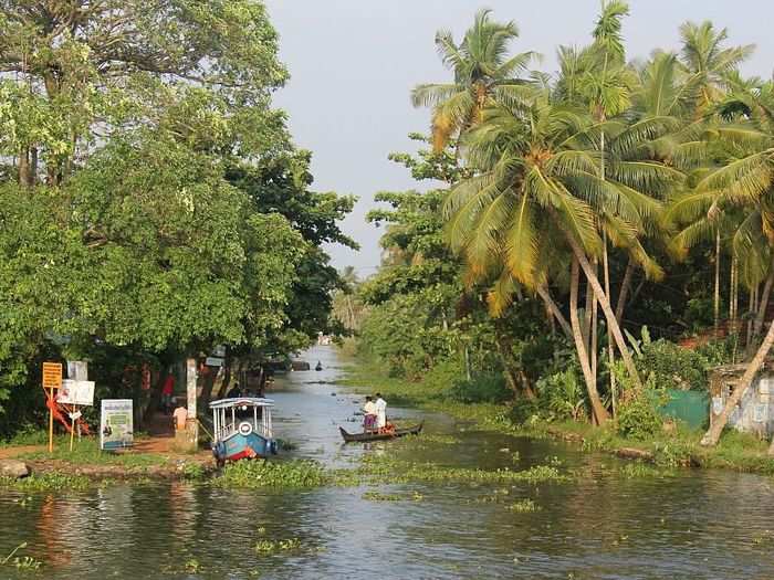 The water is filled with a patchwork of tiny strips of land and rows of palm trees.