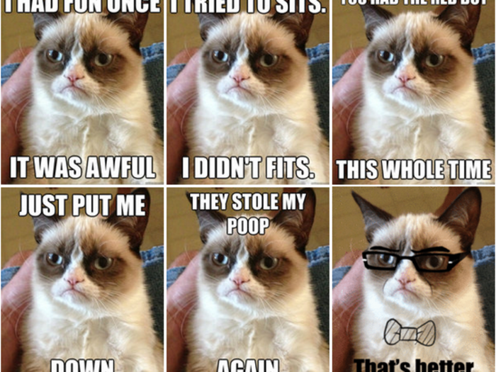 Grumpy Cat has amassed nearly 1 million Twitter followers and memes have circulated across the web. The cat