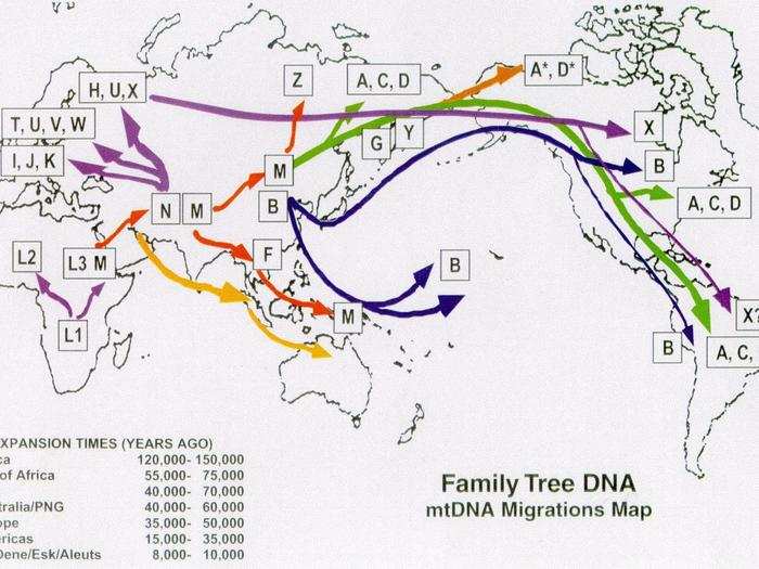 DNA migration: a complex history.