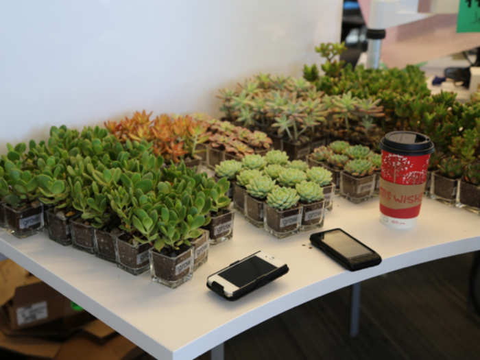 Every employees gets hardy, water-sipping succulents for their desks. They symbolize growth.