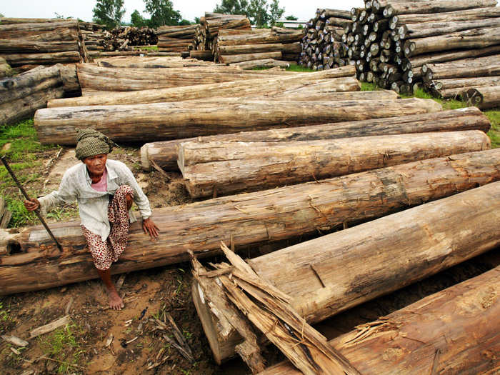 But the government is banning exports of commodity teak starting in 2014. However, it does want to boost its exports of finished teak goods.