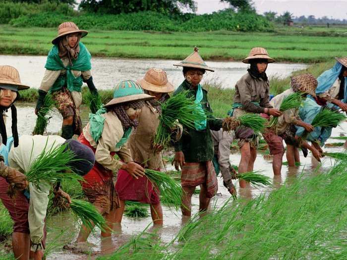 Agriculture employs most of Myanmar