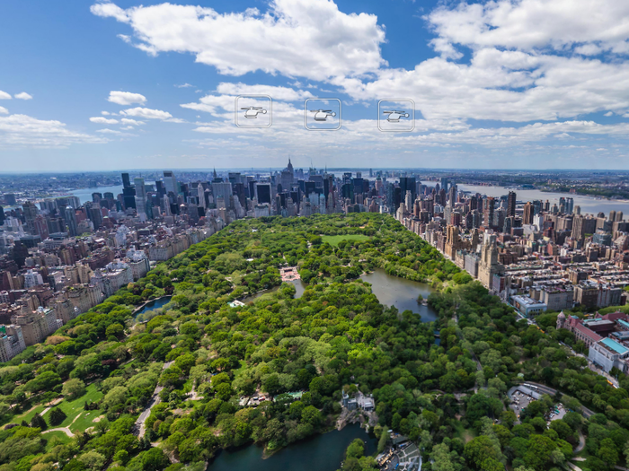 The vast expanse of Central Park, looking downtown.