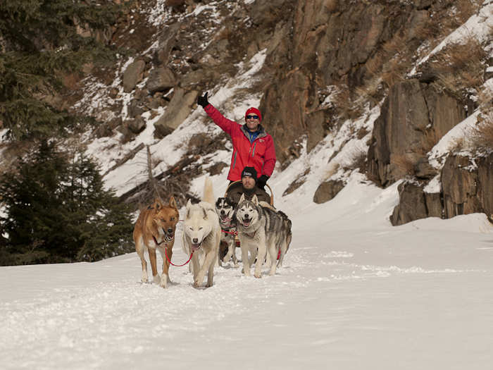 You can explore untouched back country terrain on a dog sled.