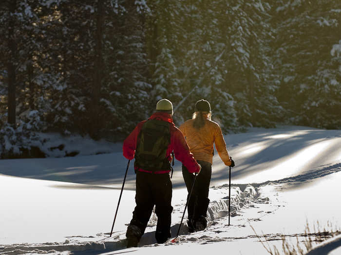 There are millions of acres of public lands open to cross-country skiing throughout the state.