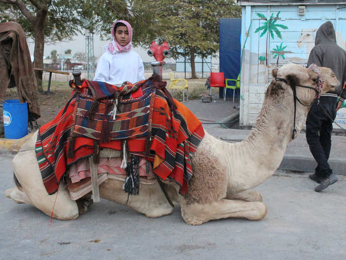 The group stops for camel rides at a gas station in the West Bank.