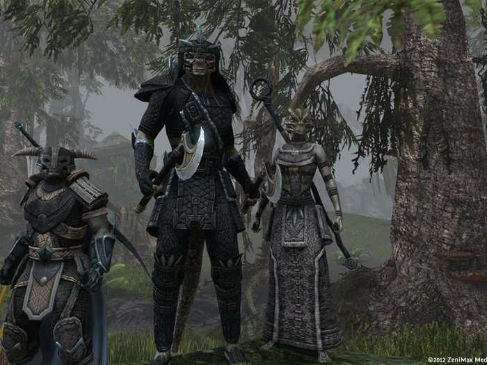 The Elder Scrolls Online (PC, TBC)