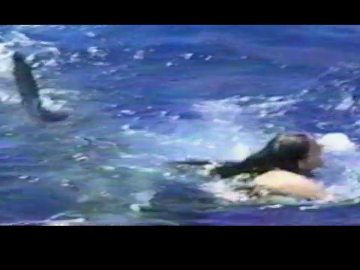 Boswell, who was working on a research ship, was taking a break with some of her crew members when the shark grabbed both of her legs and pulled her under the water. The horrifying scene was all captured on home video.