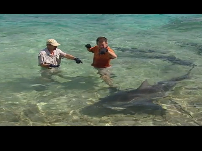 Ritter was standing in shallow water as part of an experiment to show that sharks are not interested in humans as food.