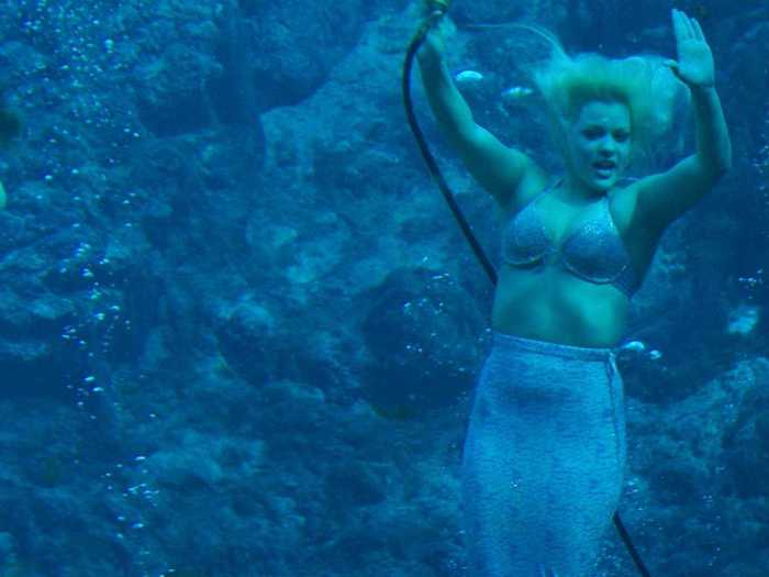 Weeki Wachee Springs in Spring Hill, Florida, is a "City of Live Mermaids."