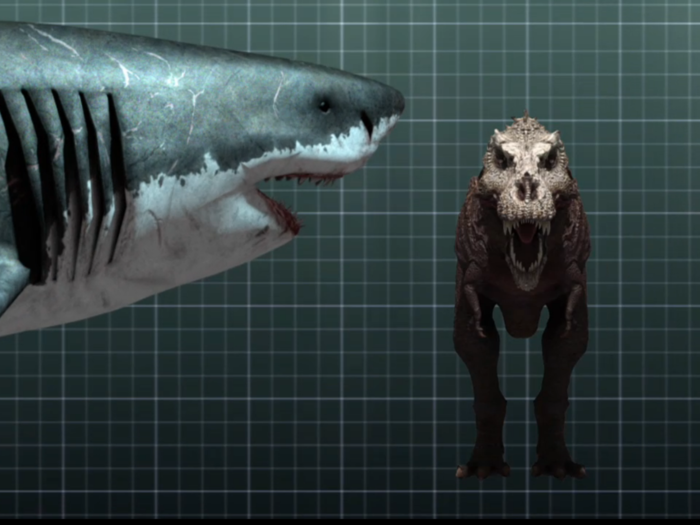 In fact, a T-rex would have been a quick snack for megalodon. Its head would have easily fit inside the gargantuan shark