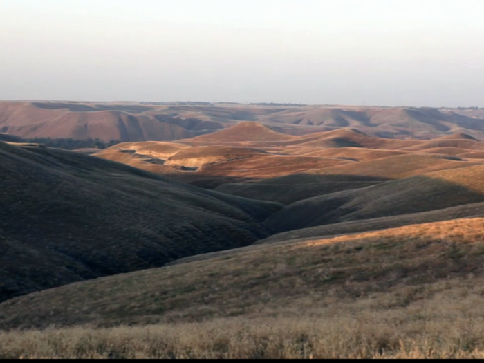 Many of the known fossilized megalodon teeth came from Shark Tooth Hill, near Bakersfield, California.