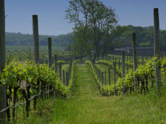 What to Do in the North Fork