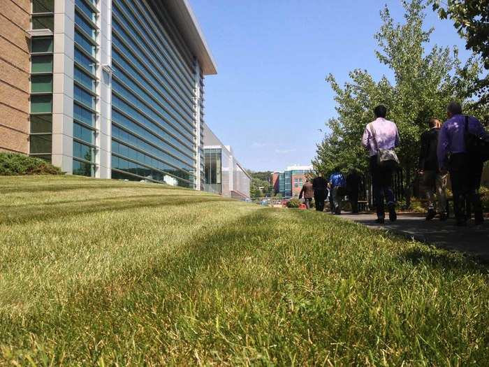 The path away from the cafeteria and back toward the digital center