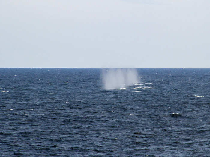 These are the 20mm rounds from the CIWS coming down in the water.