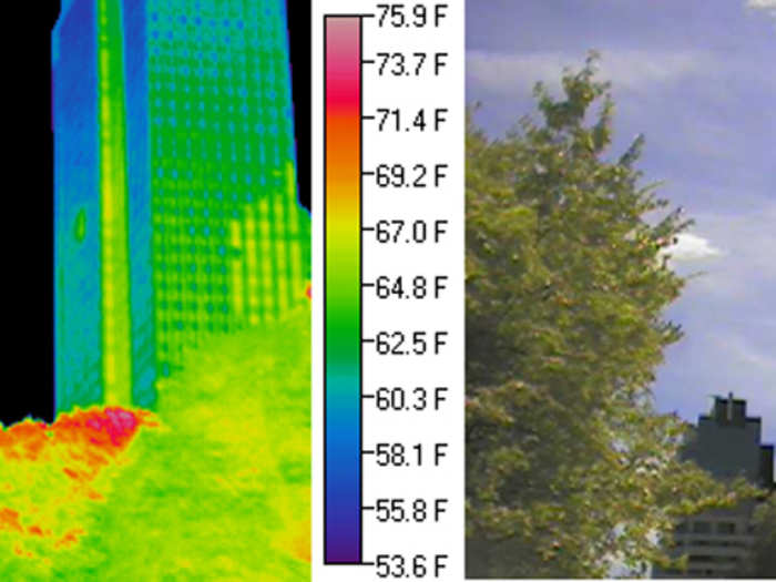 The windows of the air-conditioned building in the center are cooler (dark green) than the solid materials in the surrounding wall (yellow and light green). The tops of the trees in direct sunlight are relatively warm (red).