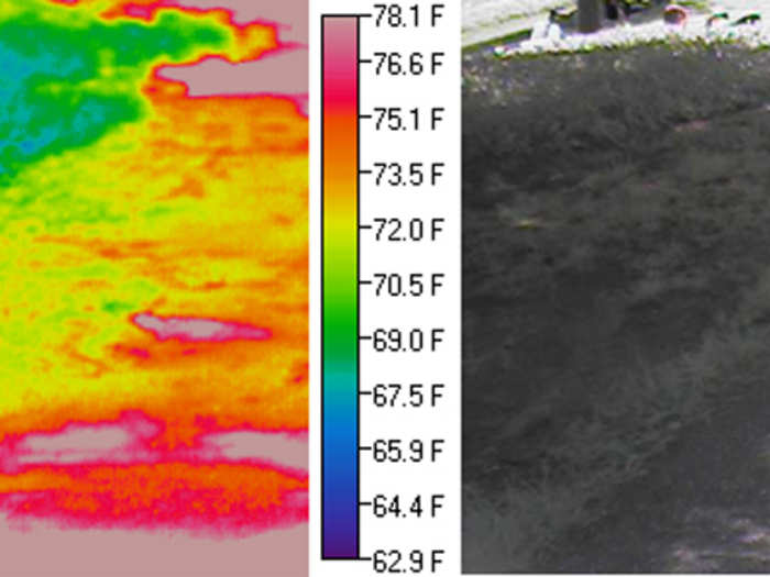 Even the partly-shaded sidewalk is warmer (red and yellow) than the grass (blue and green) to the left.