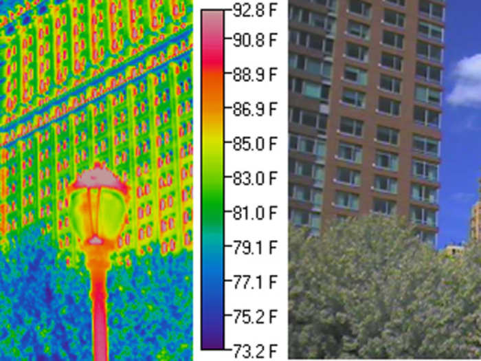 Plants can provide an important counter-balance to the urban island effect. Leaves, which can cool by transpiration, have the coldest temperatures (blue), while the black lamppost that absorbs sunlight efficiently is hot (red).