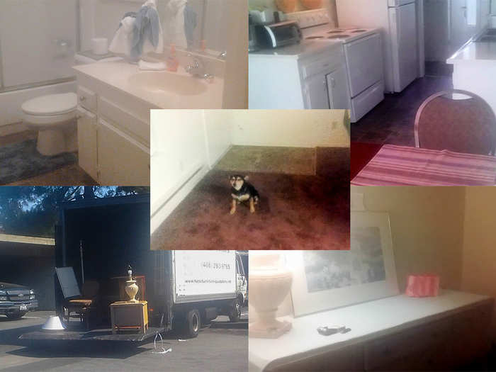 GiGi is now out of the Jungle. These are photos of her new apartment that she sent us.