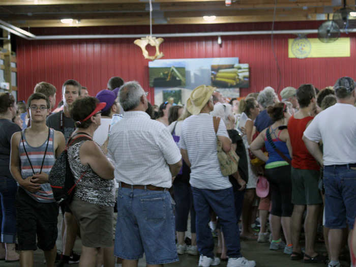 Everyone was standing by to see a new calf enter the world. Nearly 200 calves, lambs, goats, and piglets are born each year at the fair.