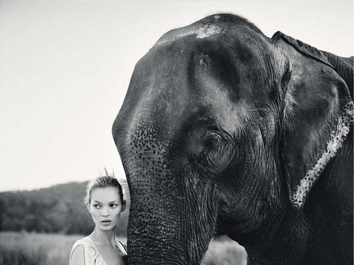 Posing with an elephant, this gorgeous shot of Moss in Nepal in March 1994 could sell for $12,000 or more.