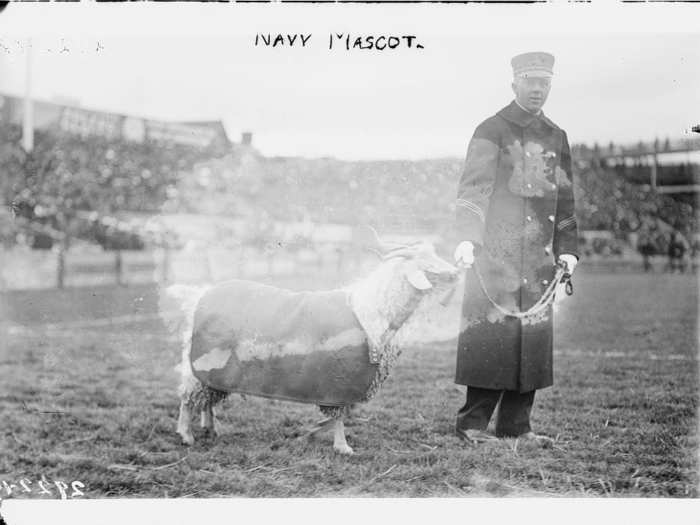 The Navy goat (ca. 1910-1915)