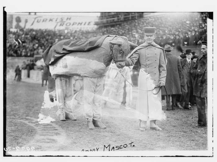 The Army mascot (ca. 1910-1915)