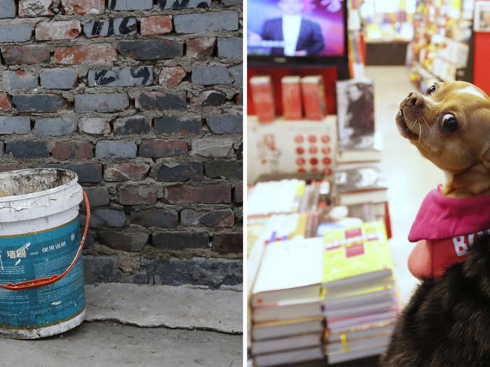 (L) A dog rummaging for food in a garbage can at a residential area for migrant workers in Beijing and (R) A woman wearing a fur coat holding her pet dog at a book store inside an airport in Beijing.