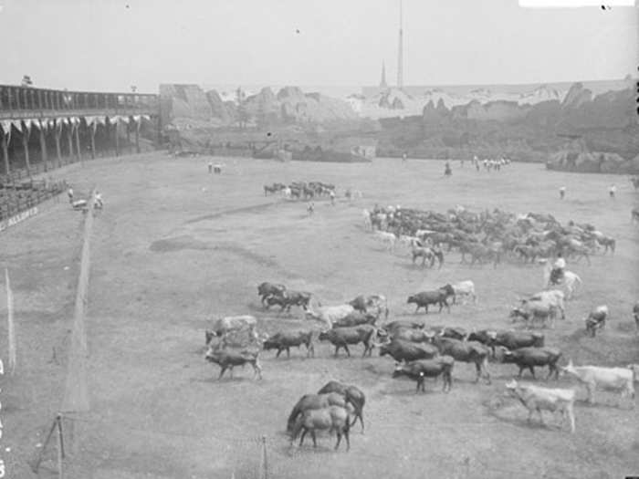 West Side Park during a Buffalo Bill show